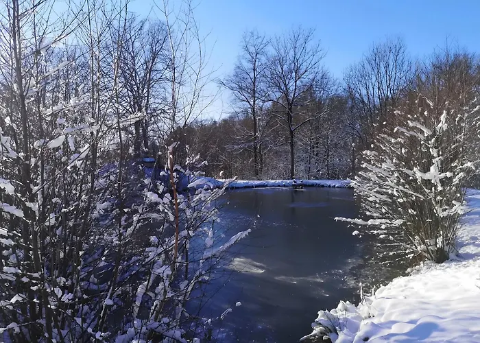 Karolina Бад-Зоден-Зальмюнстер