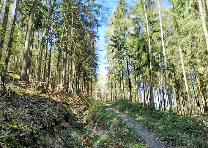 Гостевой дом Karolina Бад-Зоден-Зальмюнстер